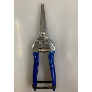 Kéo hái quả  A0542-07 C-MART
