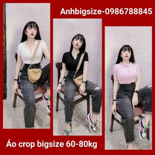 Áo cổ đức Bigsize cài nút 60-90kg Ms06