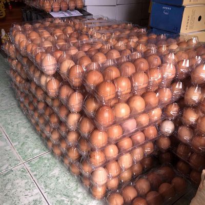 [Vựa Phan Hoàng,Q.6] Trứng Gà Tươi - 10 trứng/set | WebRaoVat - webraovat.net.vn