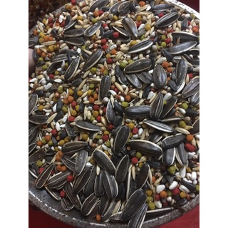 Hạt trộn trái cây cho vẹt sun, xích, xám, ring...