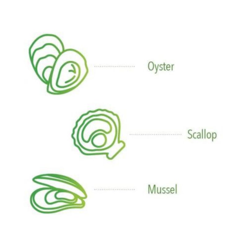 Viên uống bổ sung kẽm Nature’s Bounty Zinc 50mg 100 viên  và 400 viên