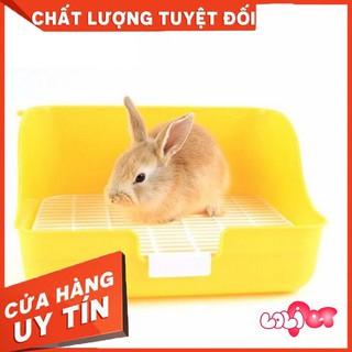 Khay Vệ Sinh Guinea Pig - Thỏ