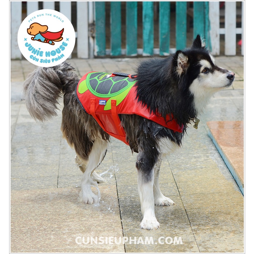 Áo phao đi bơi chuyên dụng cho chó mèo