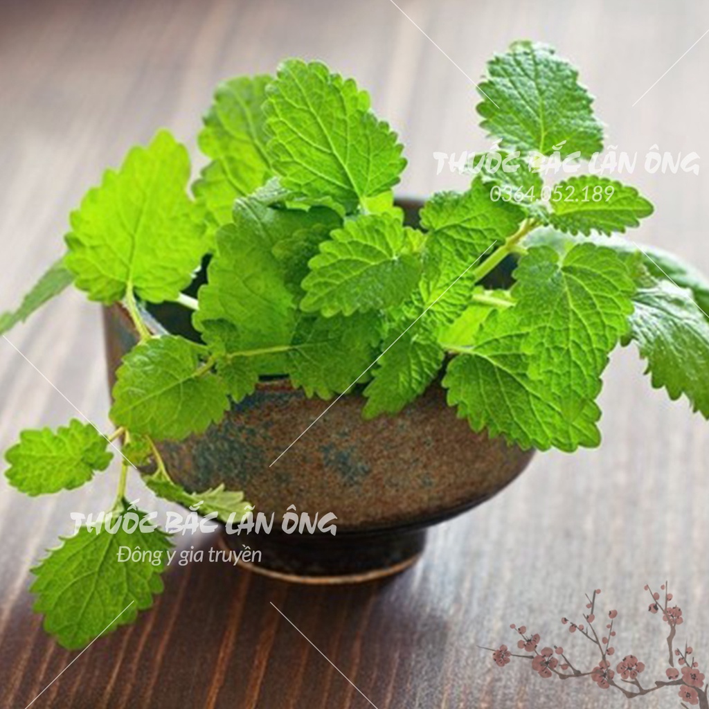 Lá bạc hà sấy khô 1kg (Xông hơi giải cảm, hỗ trợ tiêu hóa, thơm miệng)