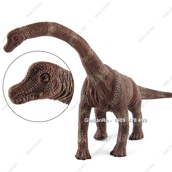 Mô Hình Khủng Long Cổ Dài Brachiosaurus  - Thân Dài 33cm - 7747