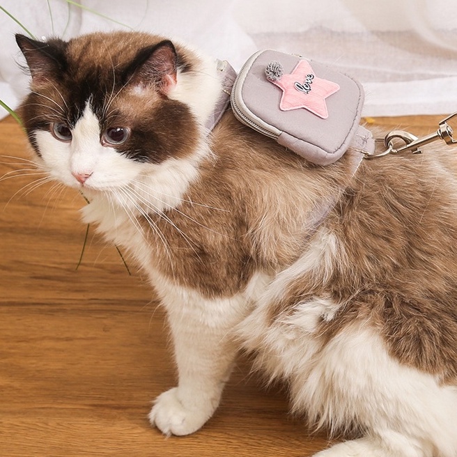Dây dắt kèm balo đeo lưng xinh xắn cho chó mèo