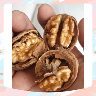 Hạt óc chó vàng nguyên vỏ mỹ - mùa mới túi 500gr