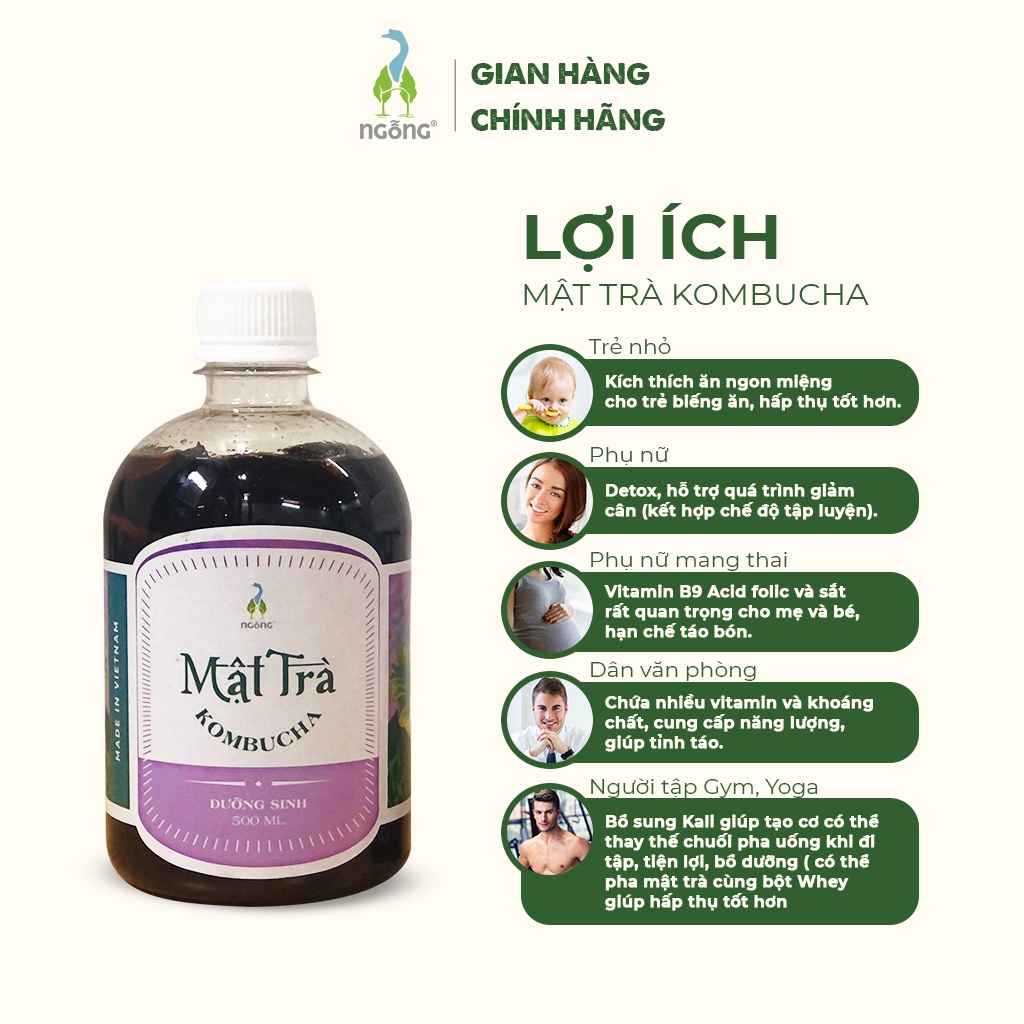 (MUA 3 TẶNG 1) Mật trà Kombucha Dưỡng sinh 500ml | BigBuy360 - bigbuy360.vn