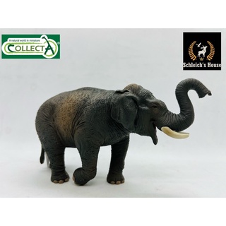 Mô hình động vật , đồ chơi con vật CollectA chính hãng Voi châu Á 88486 - Schleich House