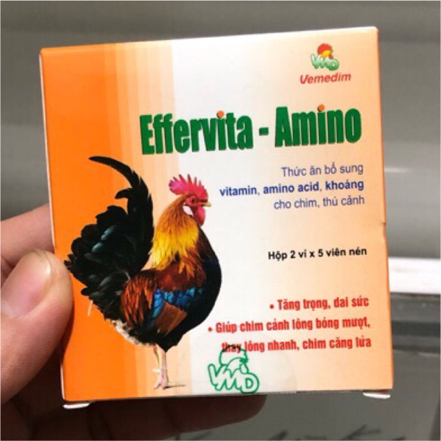 Effervita - Amino - BỔ SUNG DINH DƯỠNG CHO GÀ, CHÓ,MÈO