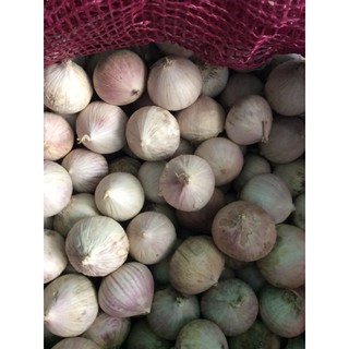 Combo 1.5kg Tỏi Cô Đơn/Tỏi Một Nhánh Phan Rang làm tỏi đen