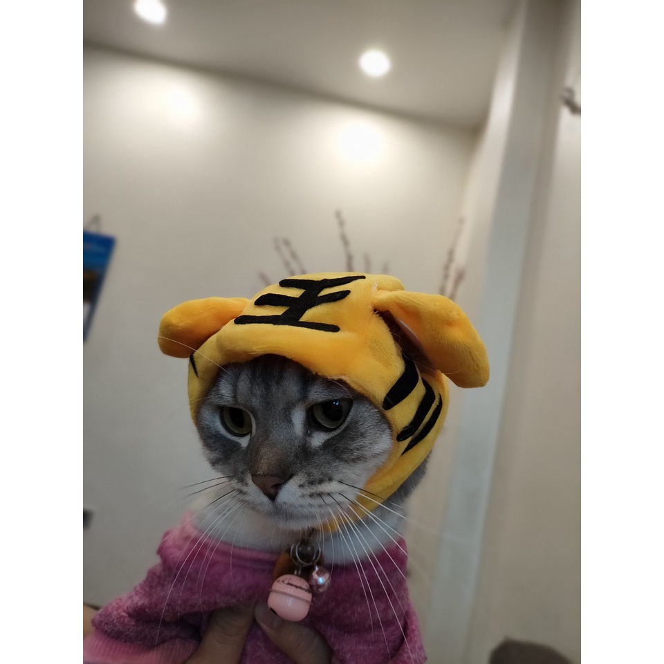 Mũ đội đầu dễ thương cho thú cưng