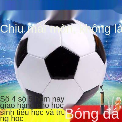 Trường được chỉ định trường học, bóng đá, học sinh tiểu học và trung học, đào tạo, bóng đá, người lớn, cạnh tranh, đen t