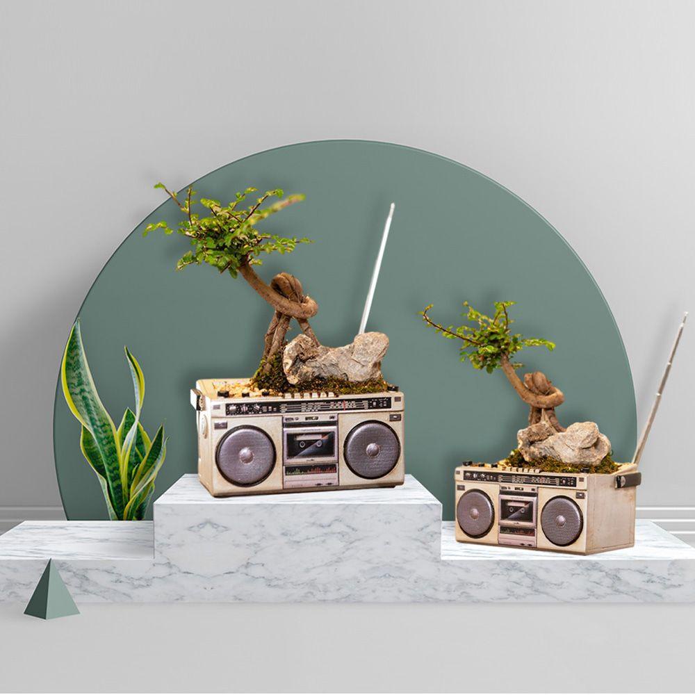 Chậu Hoa Bằng Nhựa Resin Sáng Tạo