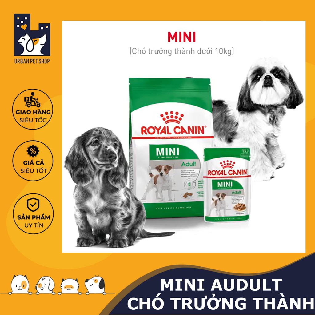 ROYAL CANIN - MINI ADULT [ CHÍNH HÃNG ] - THỨC ĂN HẠT CHO CHÓ TRƯỞNG THÀNH DƯỚI 10KG