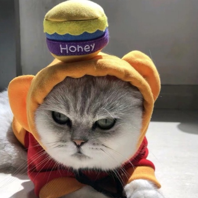 Áo nỉ hoodie cho chó mèo có mũ honey