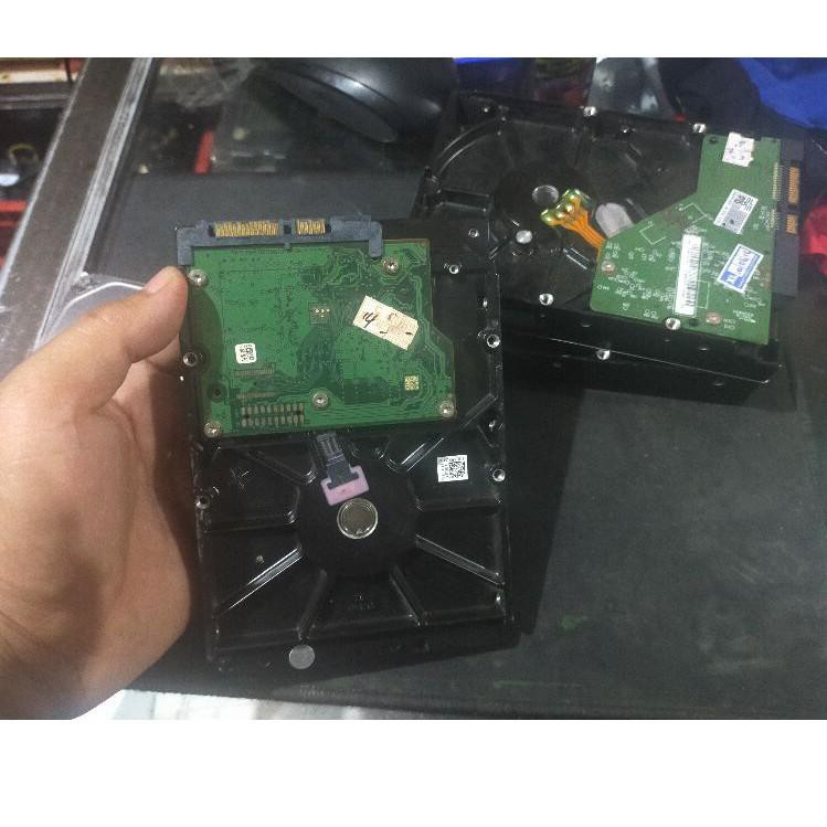 Ổ Cứng 7kv 250gb Sata Pc | BigBuy360 - bigbuy360.vn