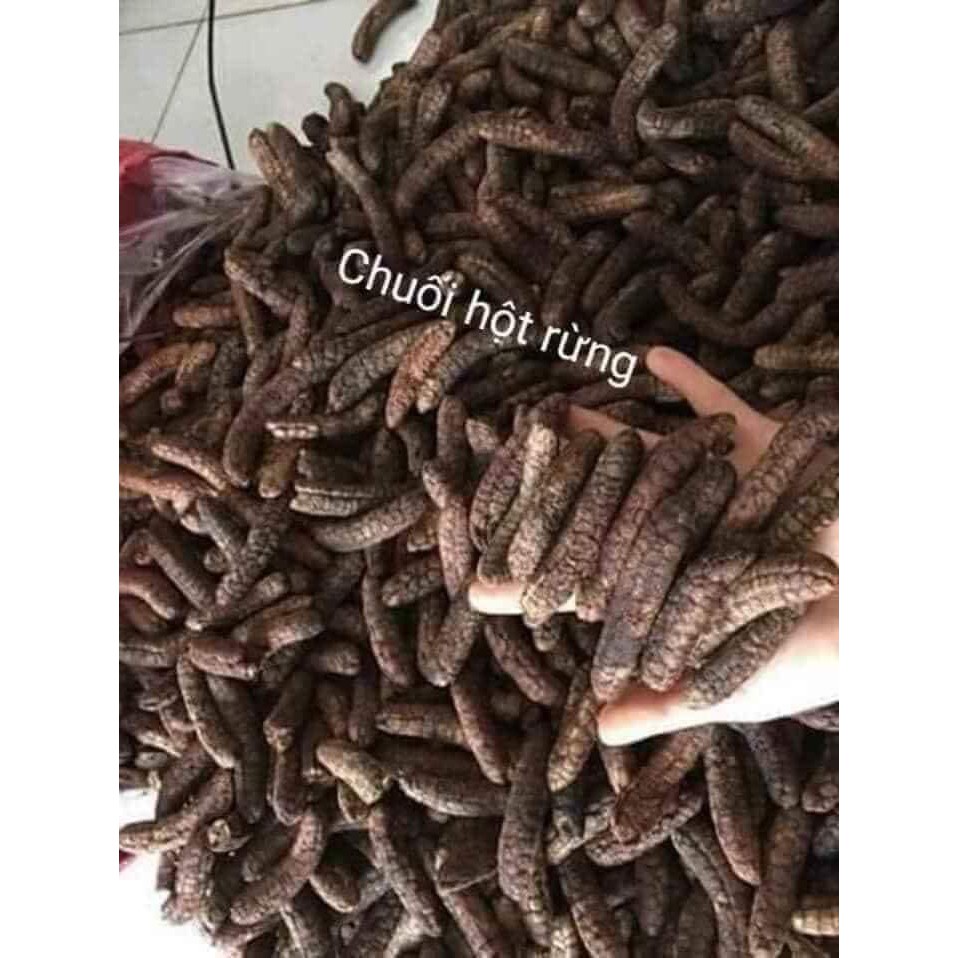 CHUỐI HỘT RỪNG👈 Giá 90k/kg