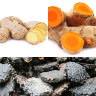 [CHIA SẺ DÙNG THỬ] Nước CỐT Rượu Gừng-Nghệ-Hạt gấc