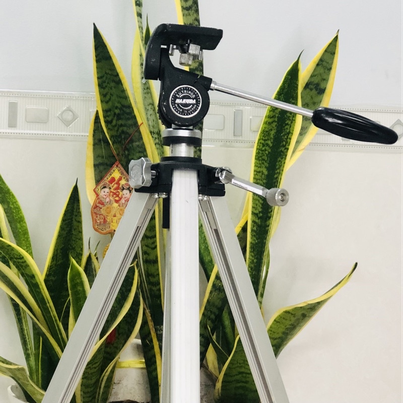 Chân máy tripod nội địa Nhật 🇯🇵