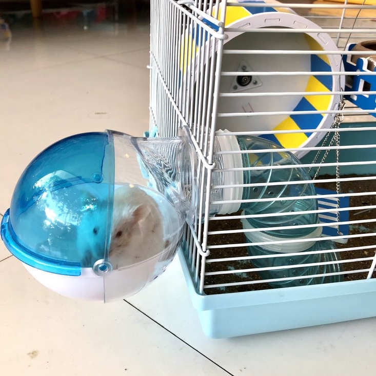 Bộ ống nối đa năng cho chuồng hamster, sóc, bọ, nhím, thú nhỏ