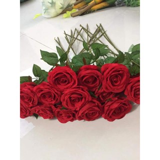 hoa hồng nhung cành 1 bông