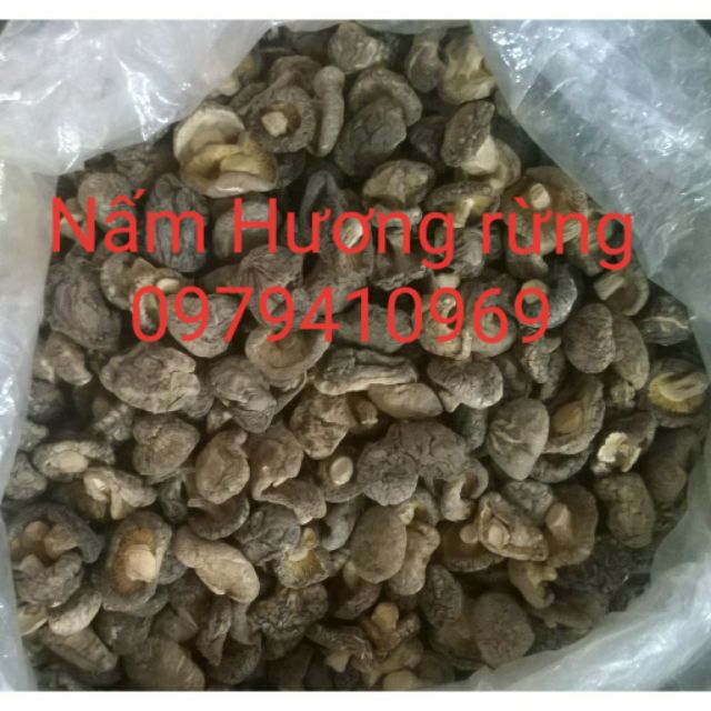 ☞🎁🎁 NẤM HƯƠNG - NẤM HƯƠNG RỪNG 100gr Loại 1 Nha Trang