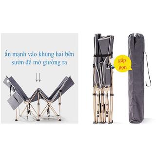 Giường gấp văn phòng NIKA TT01