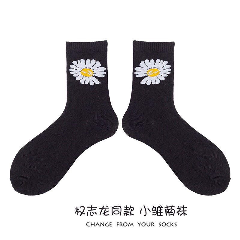 Tất cúc hoạ mi GD peaceminusone VIP GDragon