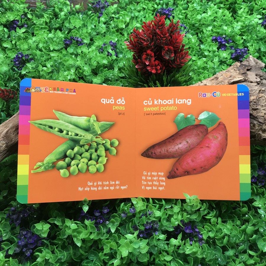 Sách: Bé Khám Phá Môi Trường Xung Quanh - Rau Củ