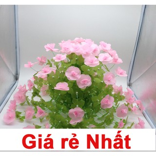 Hoa giấy handmade