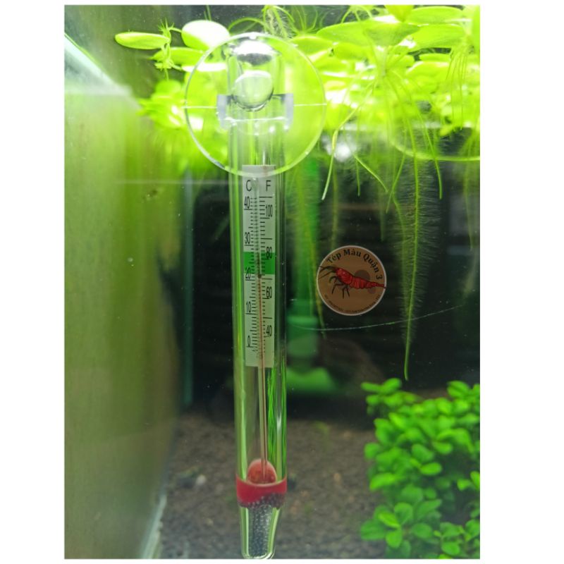 Nhiệt Kế Hồ Thủy Sinh - Cá Cảnh - Tép Cảnh KX-001
