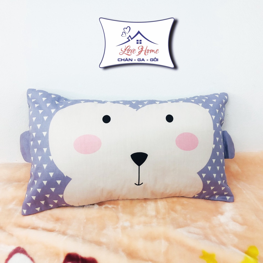 Gối Trẻ Em Cotton 100% Vỏ Gối Hoạt Hình Dễ Thương 1–10 Tuổi Lõi Bông Mềm Cho Bé Size 30x50cm