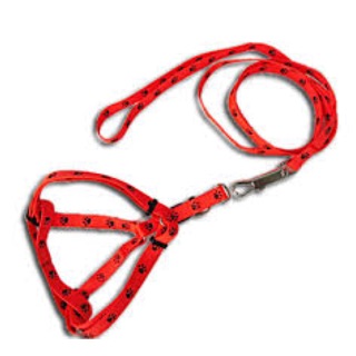 Dây dắt yếm dấu chân cho chó mèo