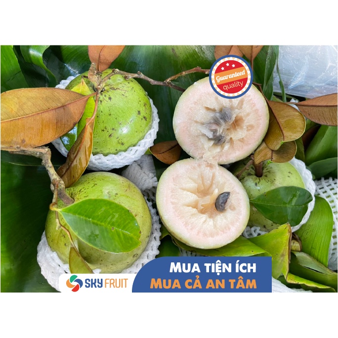 Vú Sữa Lò Rèn SKYFRUIT