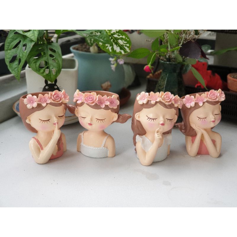 Chậu trồng cây cô gái mơ mộng, trồng sen đá, xương rồng, cây mini