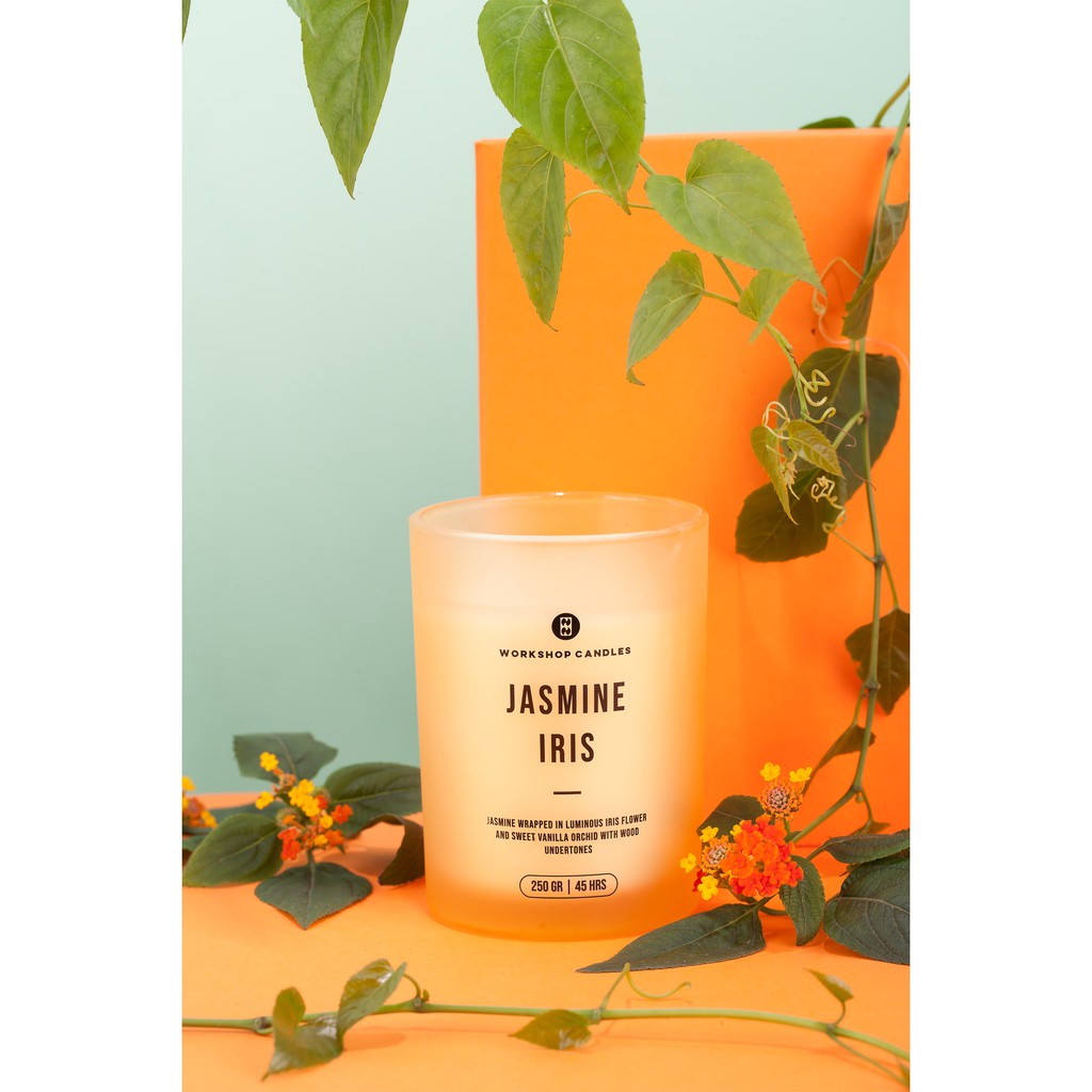 Nến thơm Jasmine Iris Workshop Candles H&amp;H Home 8 oz hương hoa nhài thuần khiết