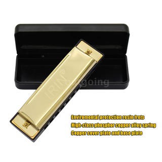 Kèn Harmonica 10 lỗ cho người mới bắt đầu