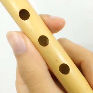 Sáo dọc nứa