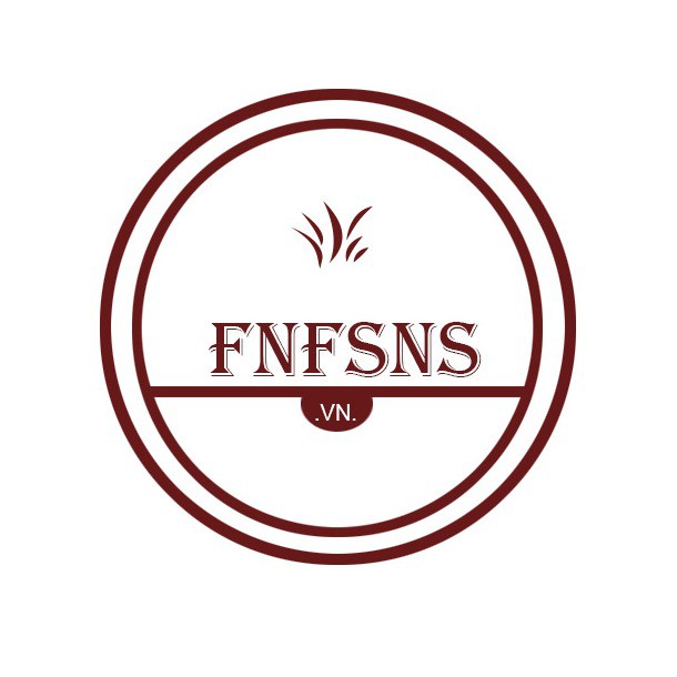 fnfsns.vn