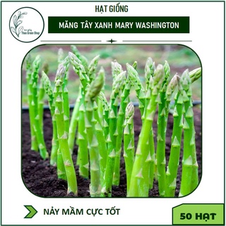 50 HẠT GIỐNG MĂNG TÂY XANH MERY WASHINGTON