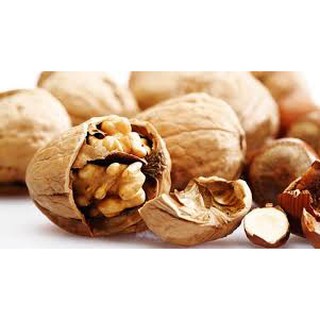 500g hạt óc chó hartley Mỹ