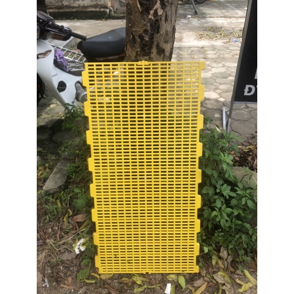 Tấm lót sàn chuồng dê, heo, chó,vịt, gà,... kích thước 100x50x3cm loại lỗ vuông to đường kính 2cm