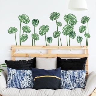 Decal Dán Tường Cây Cỏ Nam Phi