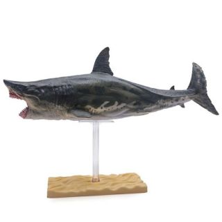 Mô hình cá mập Megalodon size lớn hãng PNSO