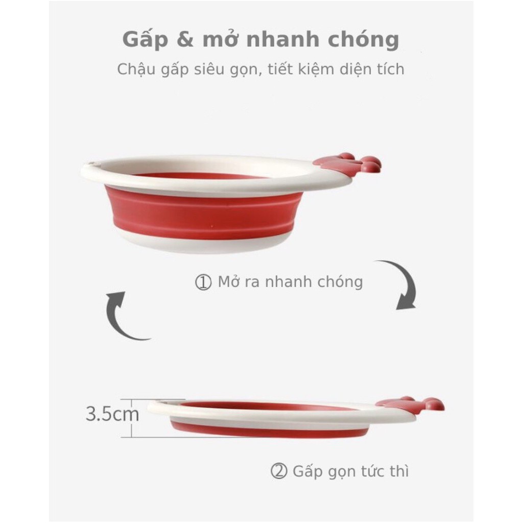 Chậu rửa mặt vương miện gấp gọn tiện lợi