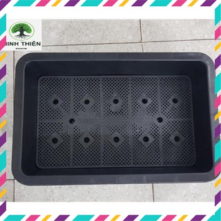 Combo 8 khay chậu nhựa trồng rau màu đen