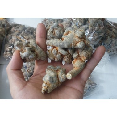 Củ Tam Thất Bắc Khô 100Gram ❤️FREESHIP❤️ / Củ Tam Thất Bắc Khô Size 5 Củ/ Lạng [LÂU NĂM] Giá Tốt