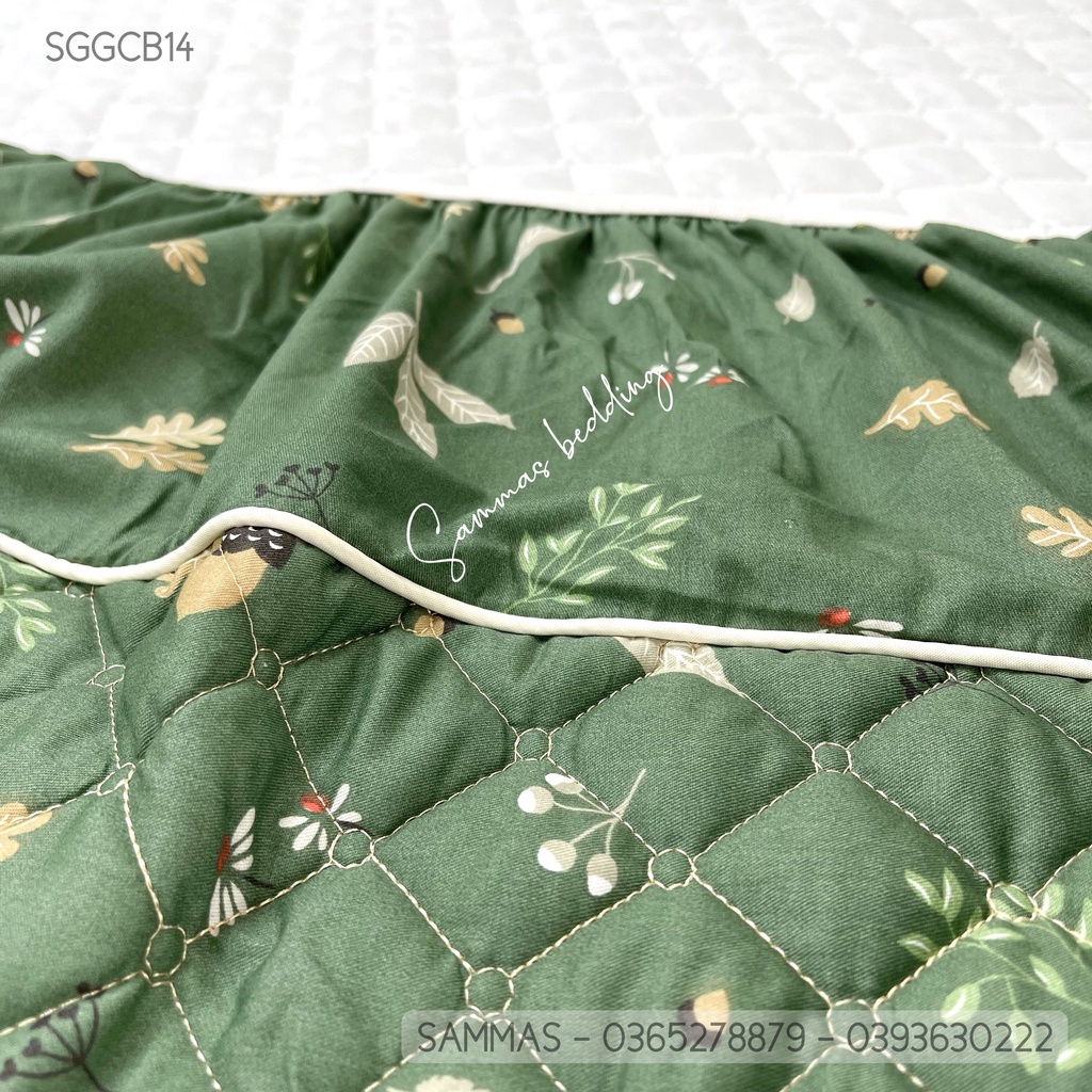 Bộ Ga Gối Chần Bông 3 Món, Drap Giường Vỏ Gối Cotton 100% size 1M6 - 1M8 - 2M2
