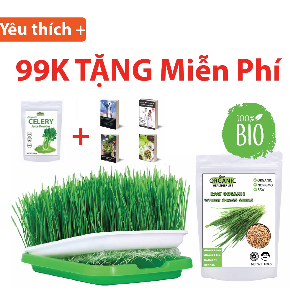 Combo trồng cỏ lúa mì cho người mới 99k